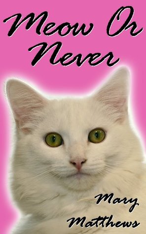 Meow or Never (Grace, Jack & Magical Cats Cozy Mystery)