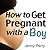 How to Get Pregnant with a Boy by Jenny Perry