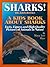 Sharks! A Kids Book About Sharks - Facts, Figures and High Quality Pictures of Animals in Nature (Big Kids Books)
