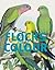 Flocks of Colour