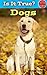 Is it True? Dogs