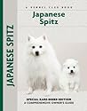 Japanese Spitz