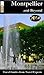 Montpellier and Beyond Trav...
