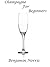 Champagne for Beginners by Benjamin Norris