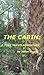 The Cabin: A time travel ad...