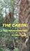 The Cabin: A time travel adventure (Narvaez County Book 1)