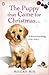The Puppy That Came for Christmas and Stayed Forever by Megan Rix