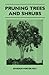 Pruning Trees And Shrubs