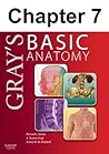 Upper Limb: Chapter 7 of Gray's Basic Anatomy (Gray's Basic Anatomy #7)