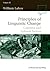 Principles of Linguistic Change, Volume 3: Cognitive and Cultural Factors (Language in Society Book 37)