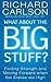What About The Big Stuff?: Finding Strength and Moving Forward When the Stakes Are High