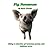 Pig Nonsense