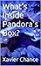 What's Inside Pandora's Box?