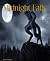 Midnight Falls