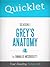 Quicklet on Grey's Anatomy Season 1