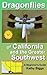 Dragonflies of California and the Greater Southwest A Beginner's Guide