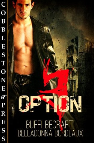 Option 3 (Kindle Edition)
