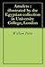 Amulets : illustrated by the Egyptian collection in University College, London