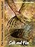 Salt and Fire: Cleansing and House Purification Rituals (An Instructional Story) (The Priestess Diaries)