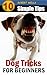 Dog Tips: 10 Simple Tips to teach your Dog New Tricks for beginners (Man's Best Friend Book 2)