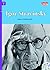 Igor Stravinsky (Rainbow Readers Book 350)