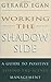Working the Shadow Side: A Guide to Positive Behind-the-Scenes Management