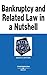 Bankruptcy and Related Law in a Nutshell