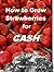 How to Grow Strawberries fo...