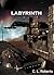 Labyrinth by C.L. Roberts