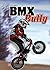BMX Bully (Sports Mysteries)