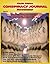 Conspiracy Journal - E-Book...