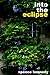 Into the Eclipse