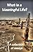 What is a Meaningful Life? A Collection of Essays by Jim Meuninck