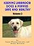 Keeping Labrador Dogs & Puppies Safe and Healthy, Volume 3., An Interactive Multiple Choice Quiz Book that Teaches How to Keep Your Labrador Dog or Puppy ... in the Labrador Series (Labrador Retriever)