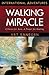 Walking Miracle: A Vision for Asia, a Prayer for Healing (International Adventures)