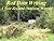 Red Deer Writing ~ A New Zealand Outdoors Memoir by Greg Ross: A New Zealand Outdoors Memoir