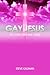 Gay Jesus (At Your Own Risk Series Book 1)