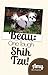 Beau: One Tough Shih Tzu