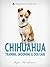 Chihuahua: Training, Grooming, and Dog Care