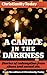 A Candle in the Darkness by Wess Stafford