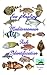 Sea Angling Mediterranean Fish Identification