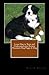 Learn How to Train and Understand your Bernese Mountain Dog Puppy & Dog