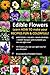 Edible Flowers - Learn HOW TO Make your RECIPES, Healthier, Fun and Colorful!