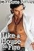 Like a House on Fire (Criminals do it Illegally #2)