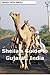 Sheila's Guide to Gujarat, India