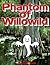 Phantom of Willowild by Brenda Bone