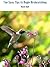Ten Easy Tips to Begin Bird...