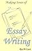 Making Sense of Essay Writing