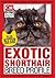 Exotic Shorthair Breed Profile (Your Cat Magazine Breed Profiles Book 12)