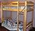 Build Your Own Bunk Bed DIY Plans for Twin FULL Queen or KING sizes Adult or Child So Easy, Beginners Look Like Experts.